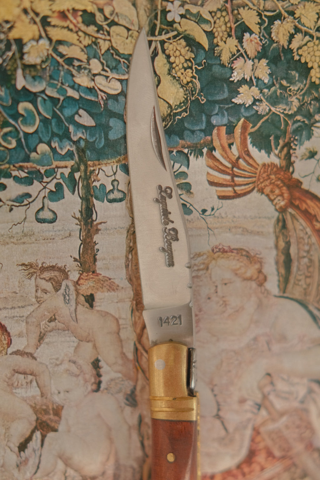 French Laguiole Bougna Folding Knife w/ Brass Inlay