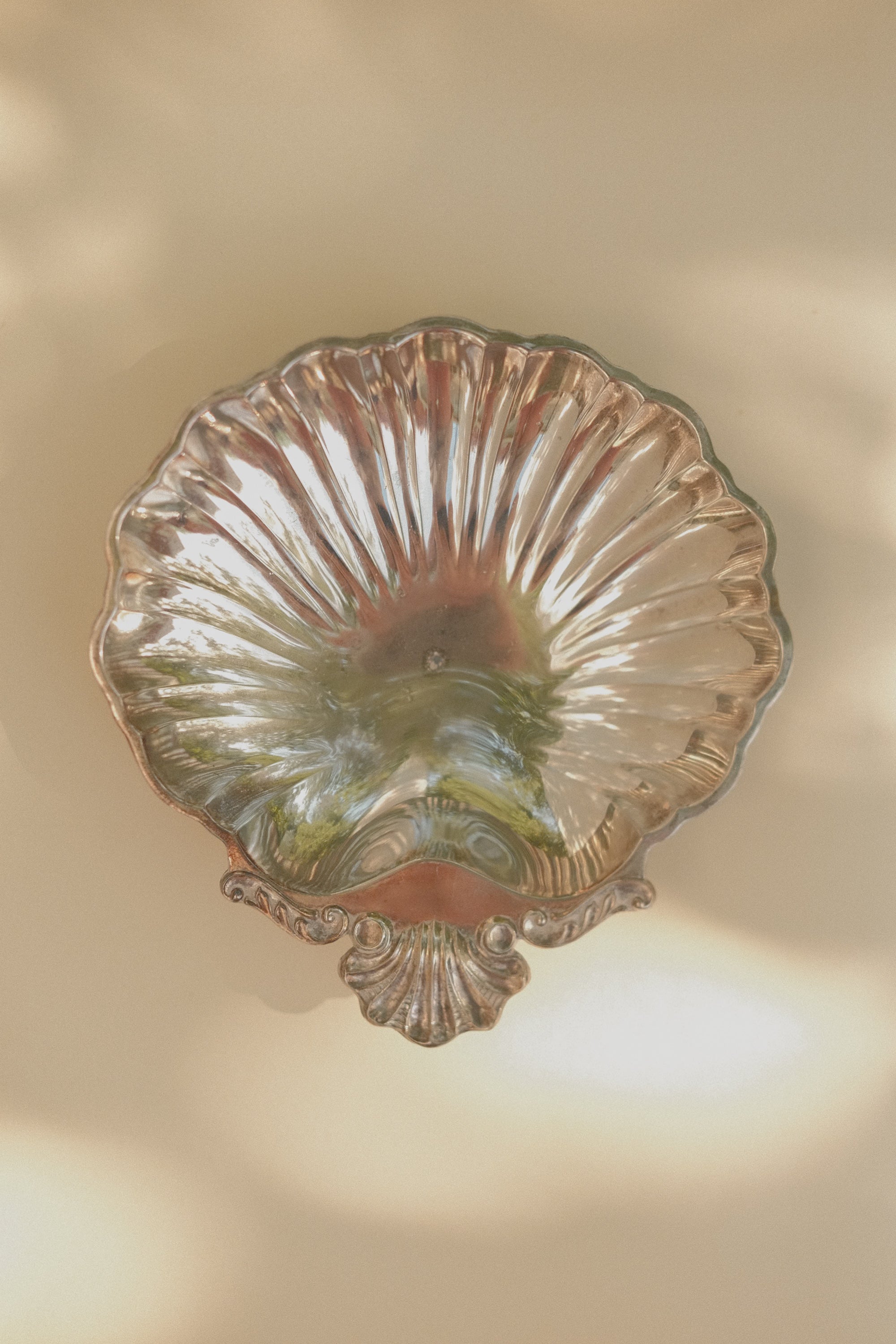 Shell Tray