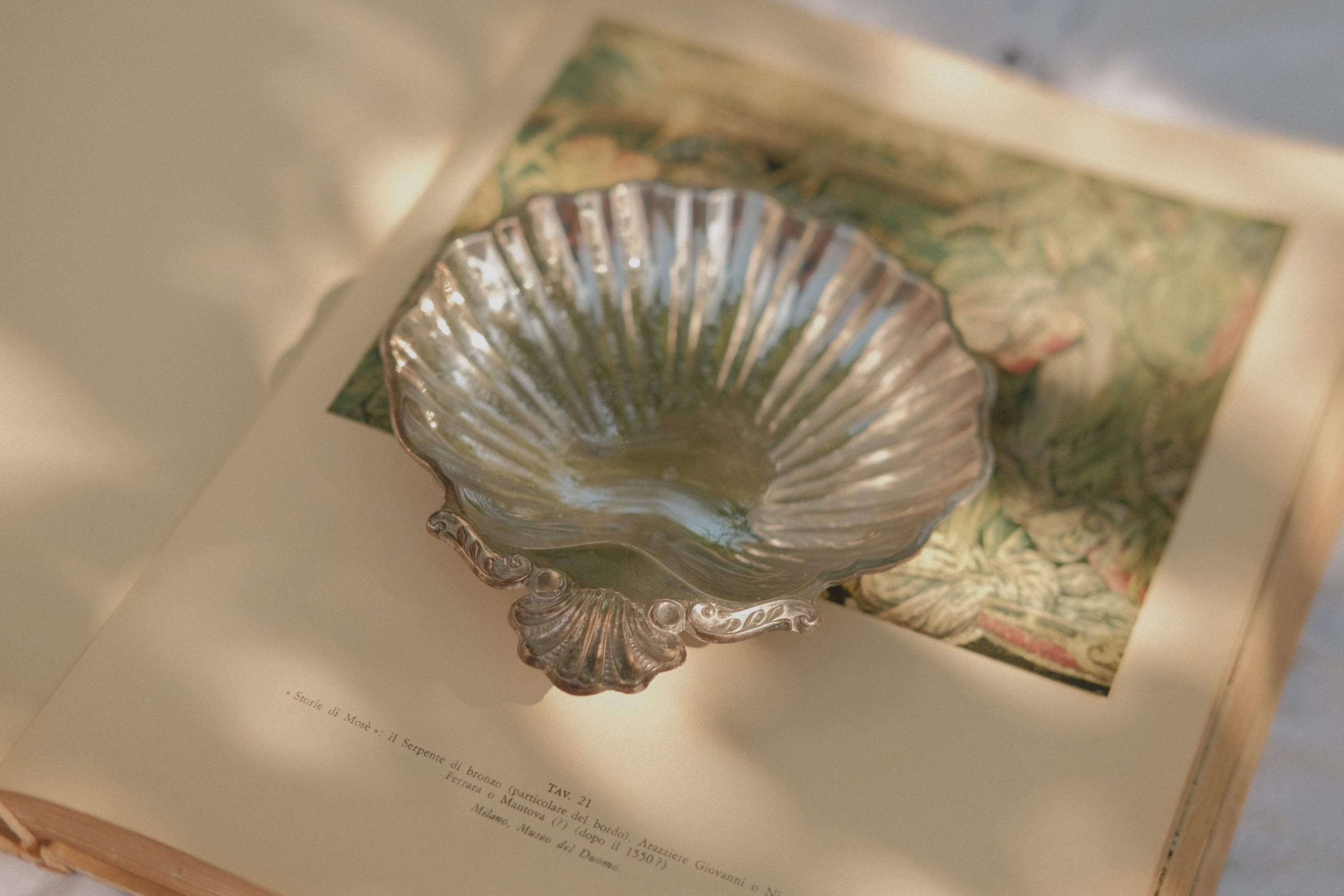 Shell Tray
