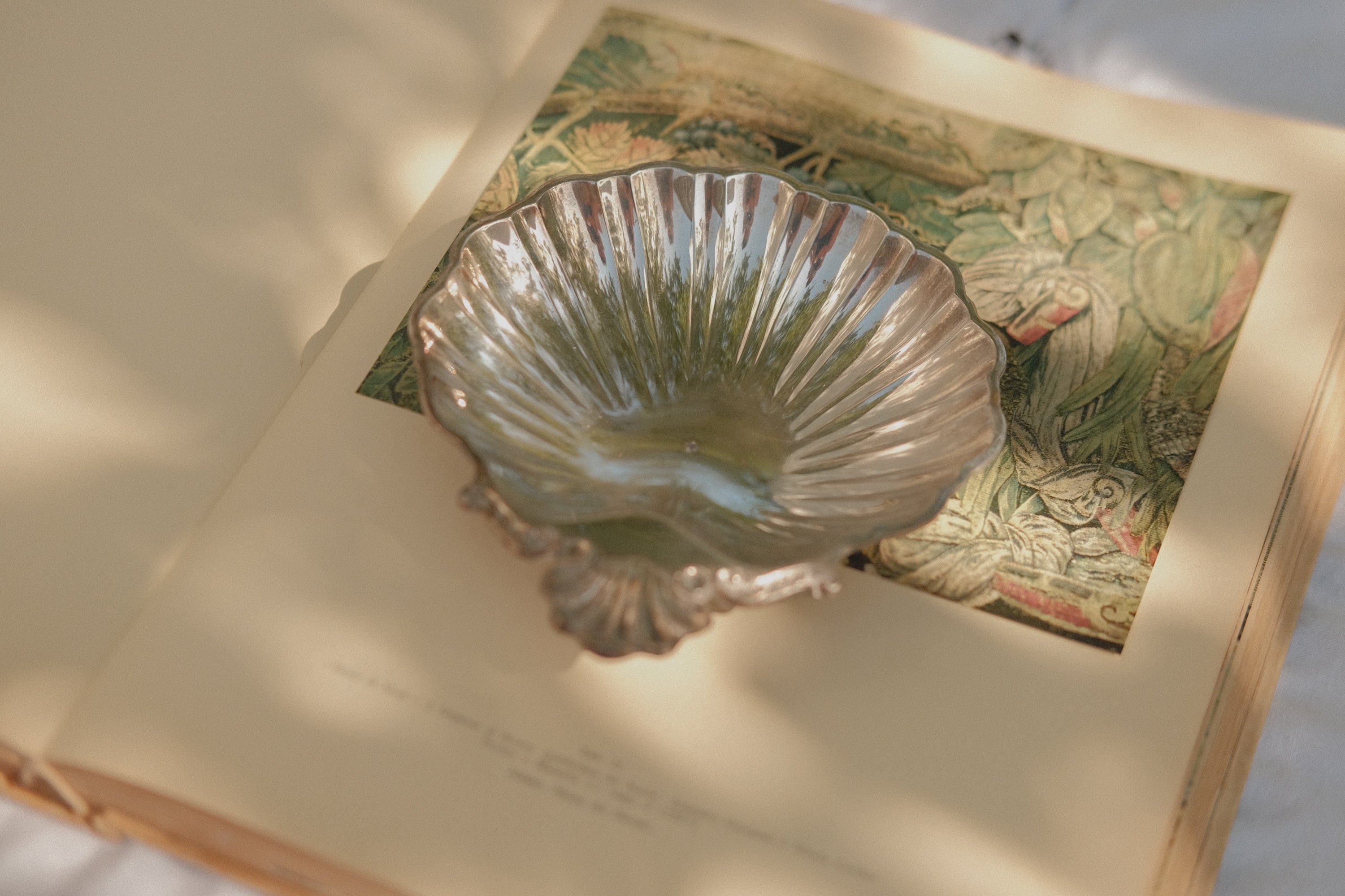 Shell Tray