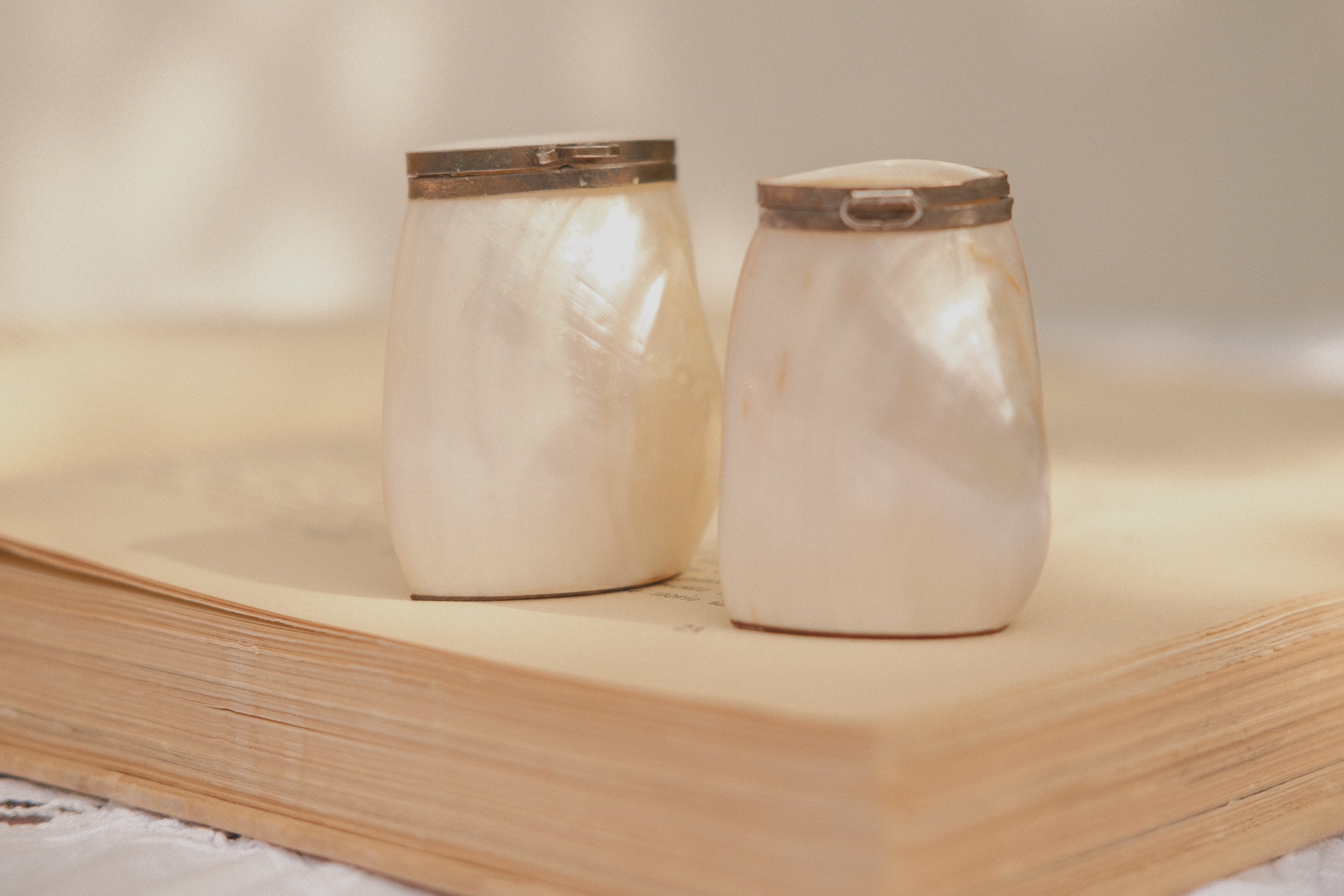 Mother of Pearl Salt & Pepper Shakers