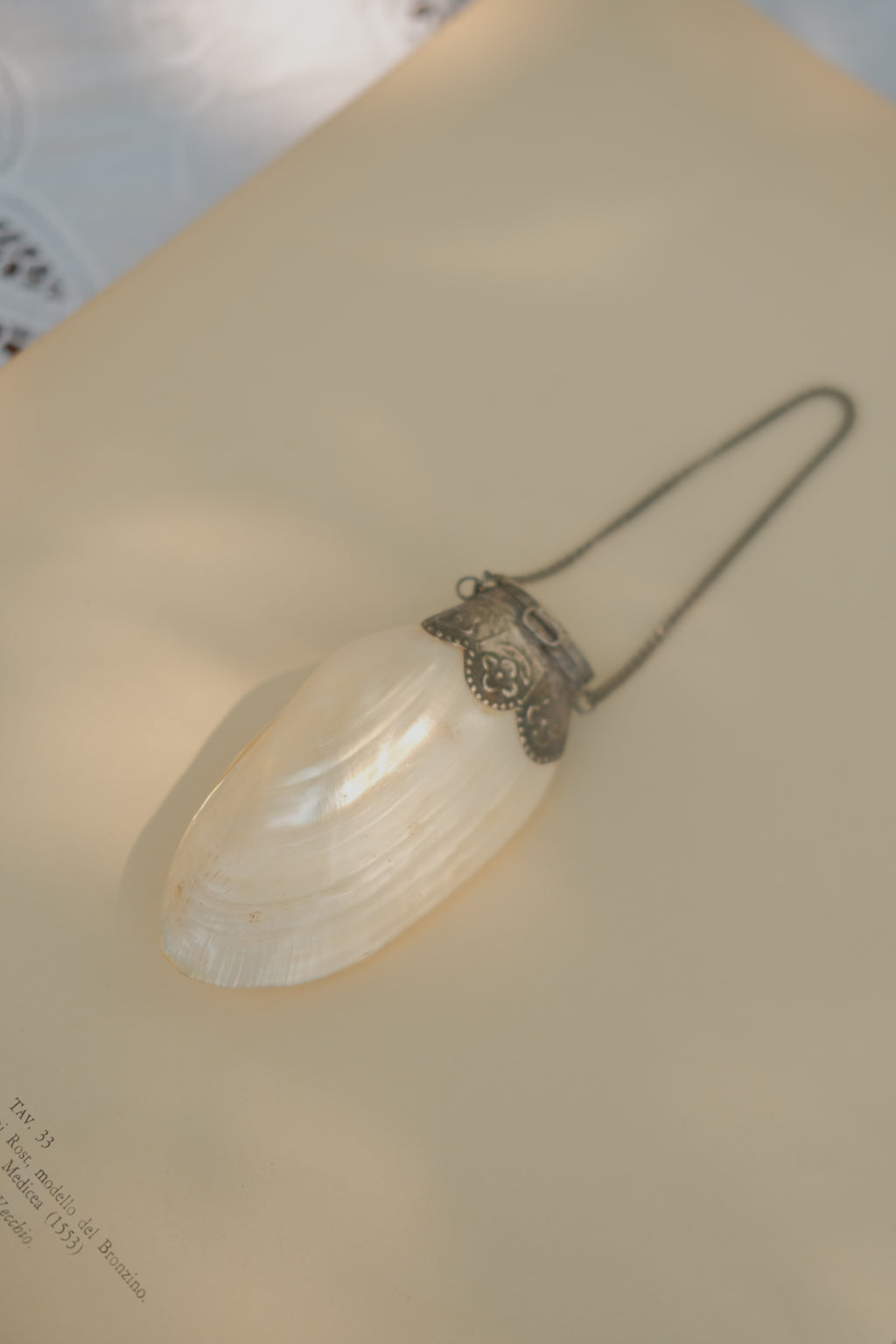 Mother of Pearl Shell Pill Purse with Chain