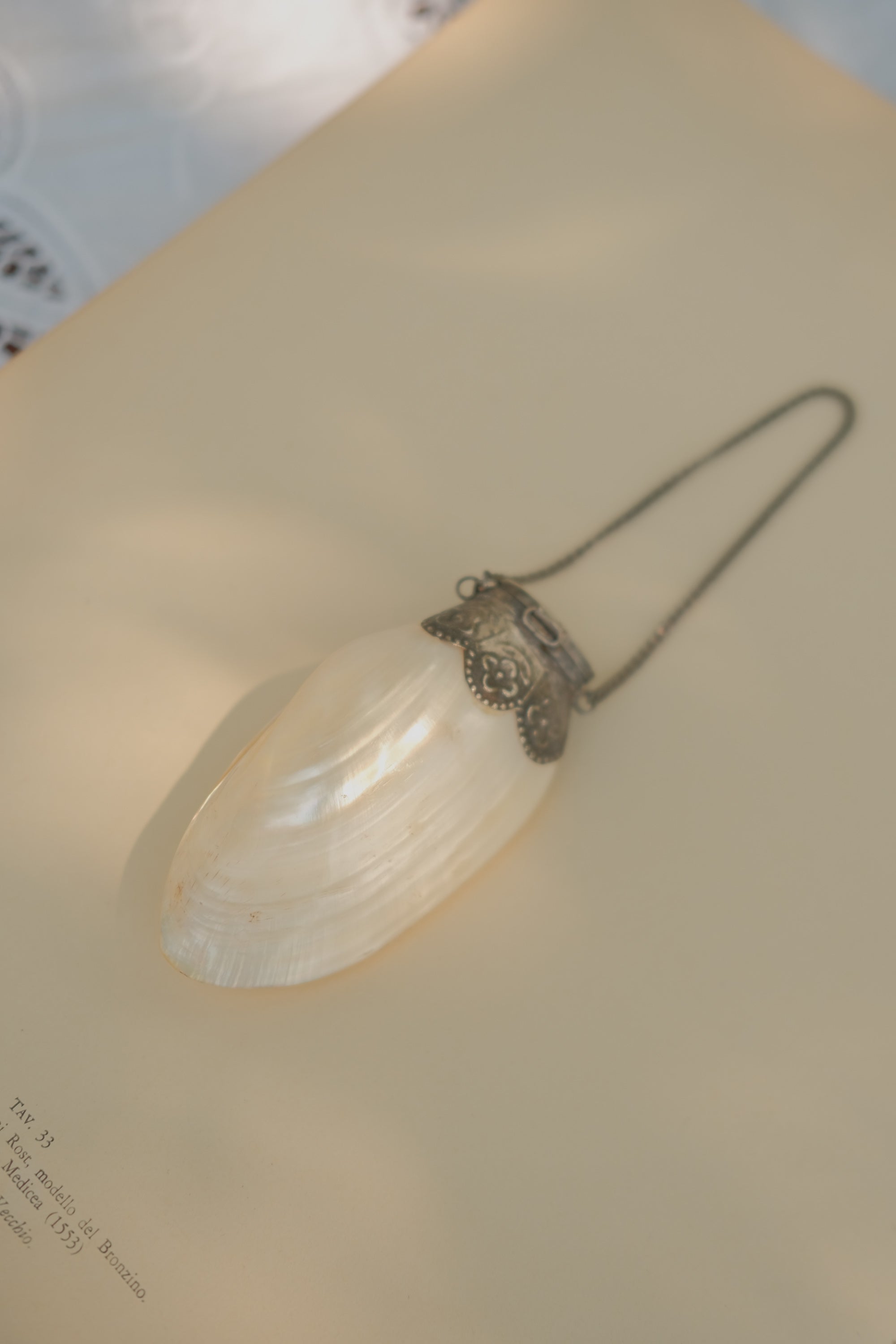Mother of Pearl Shell Pill Purse with Chain