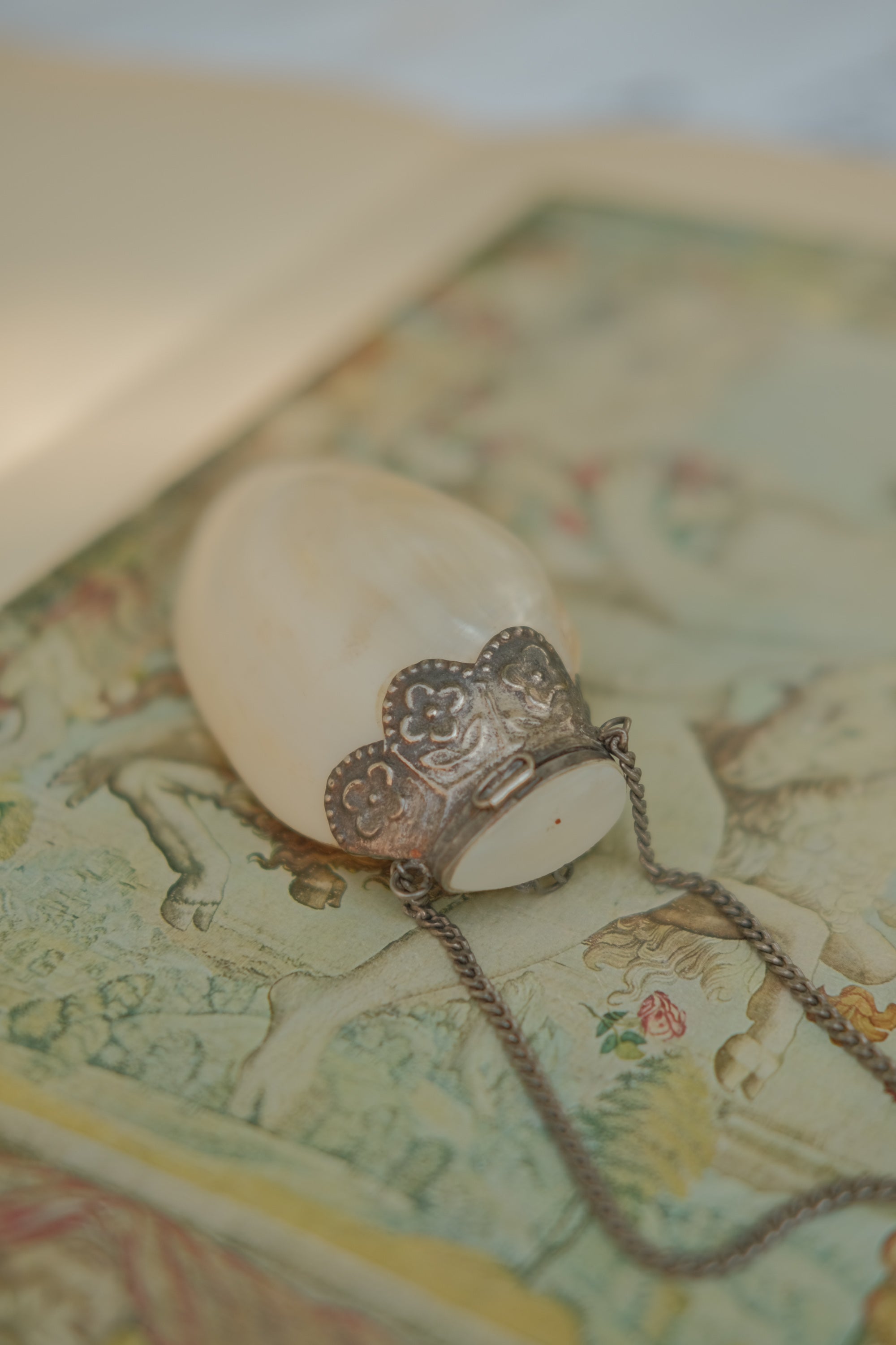 Mother of Pearl Shell Pill Purse with Chain