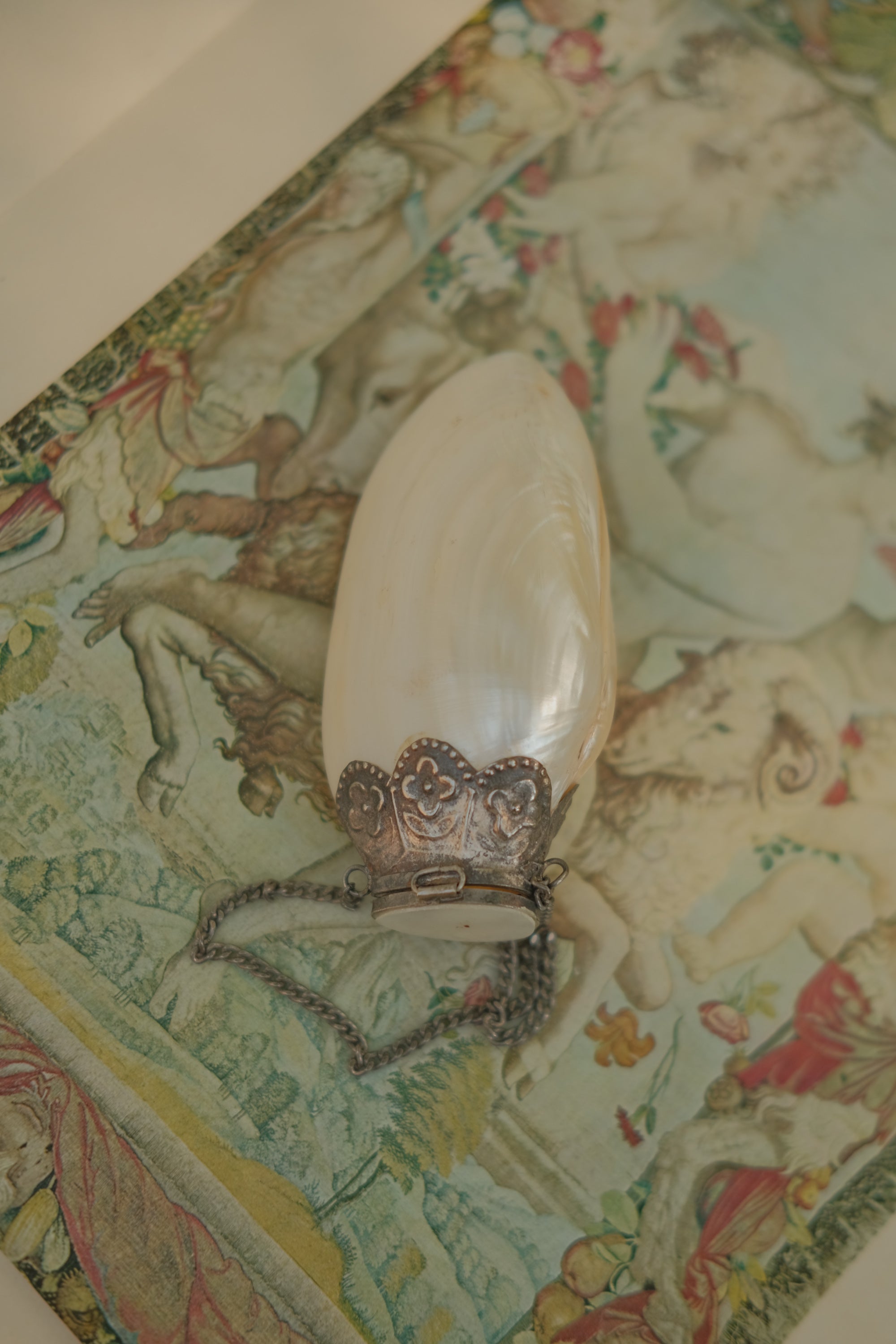 Mother of Pearl Shell Pill Purse with Chain