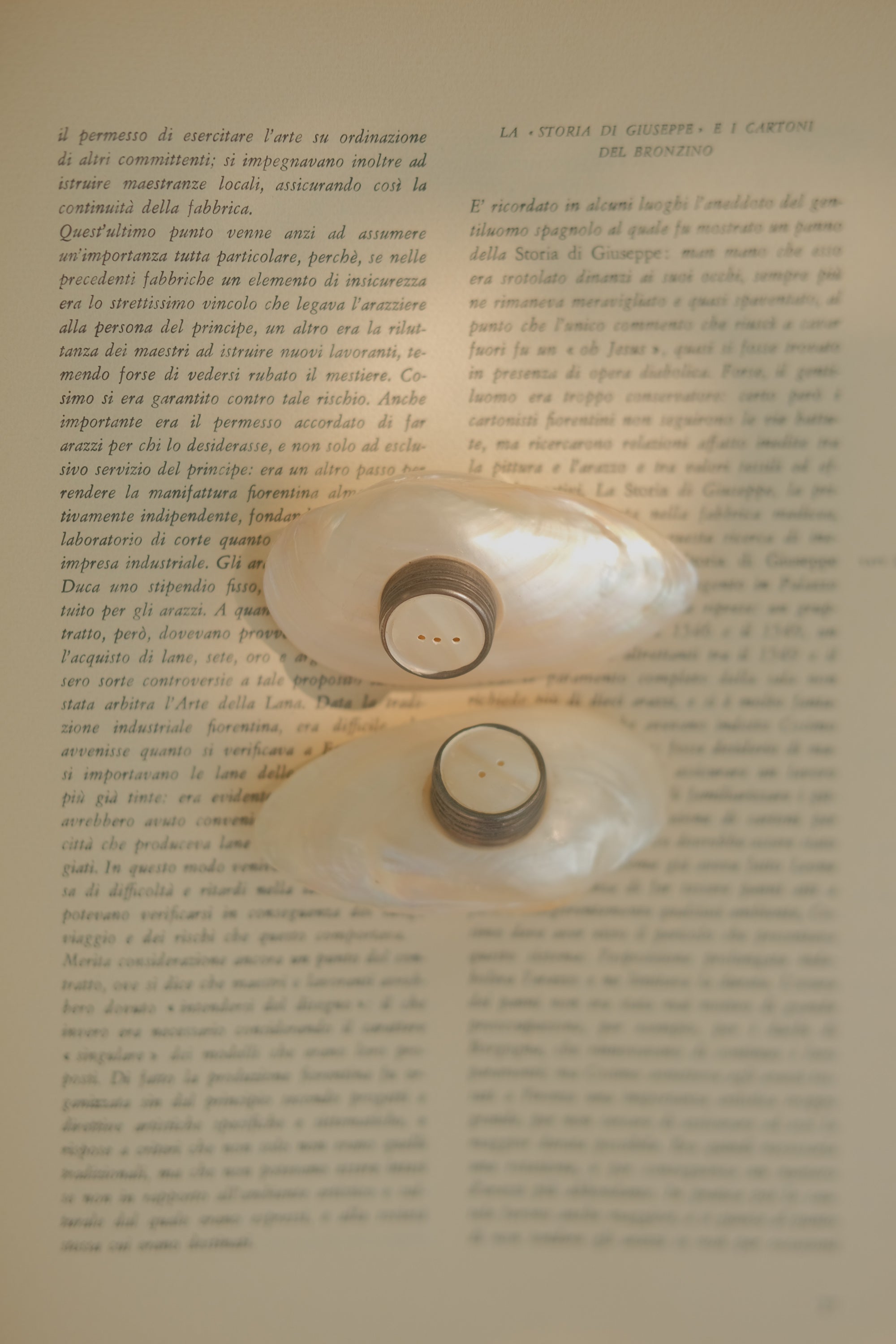 Mother of Pearl Salt & Pepper Shakers