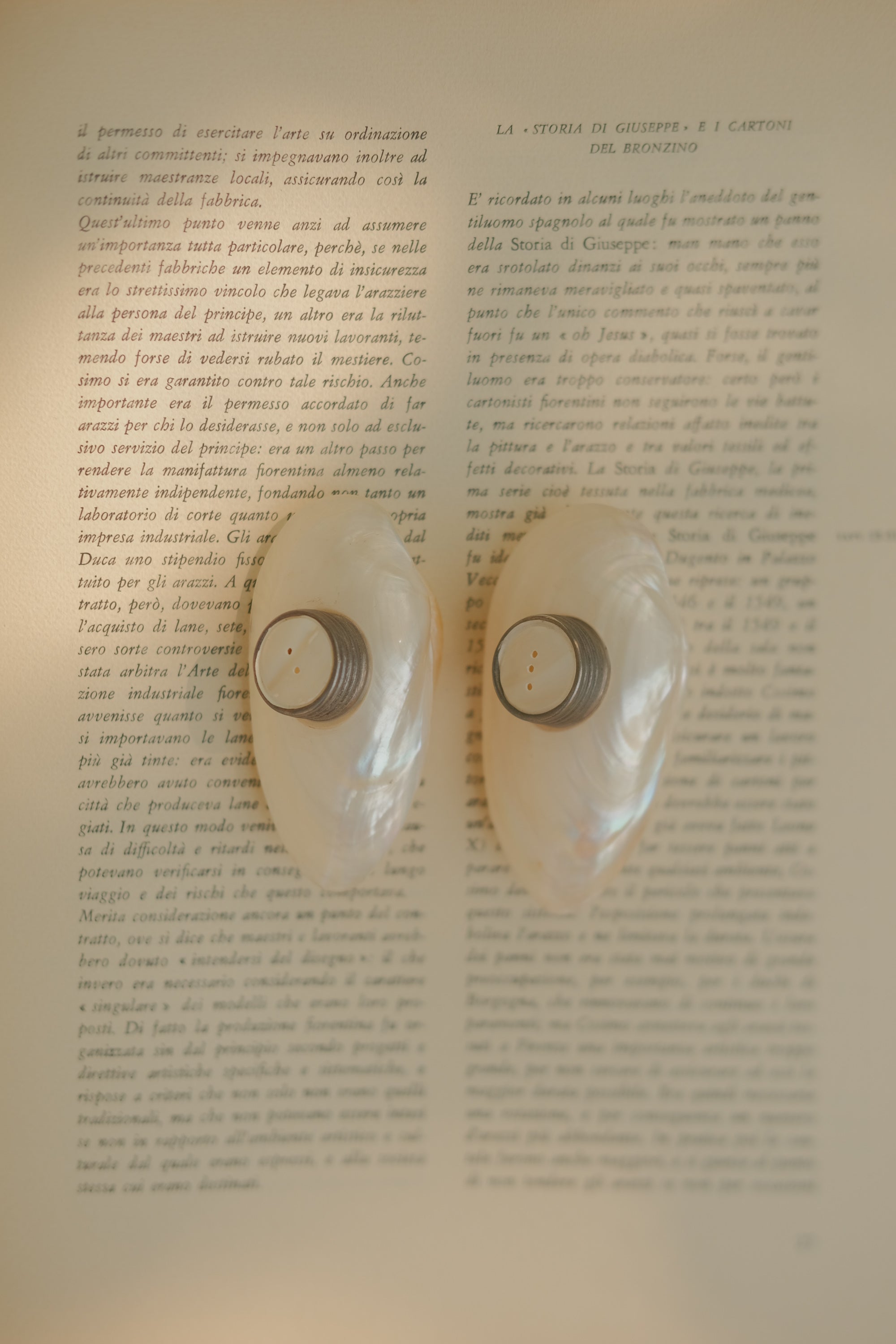 Mother of Pearl Salt & Pepper Shakers