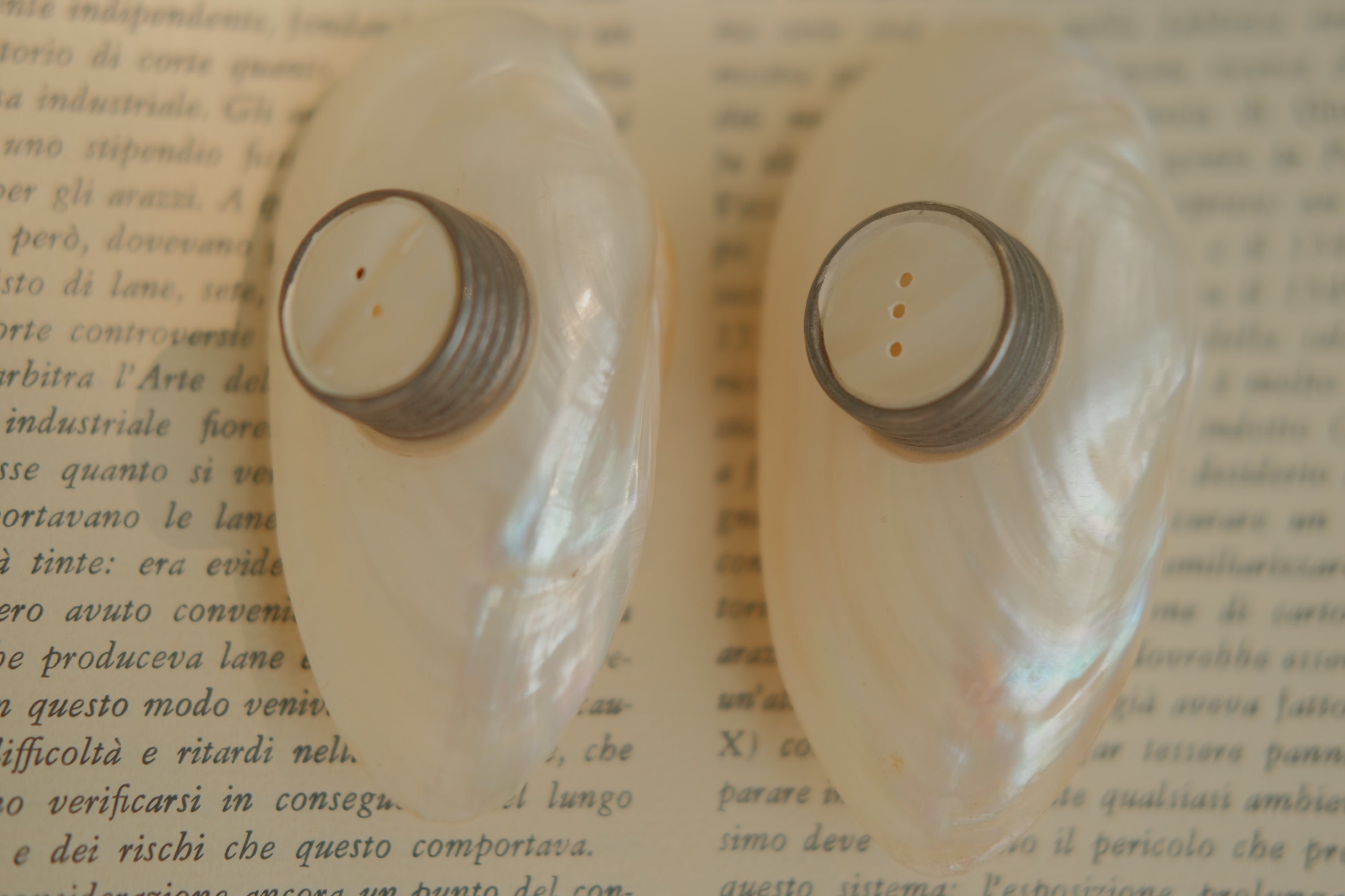 Mother of Pearl Salt & Pepper Shakers