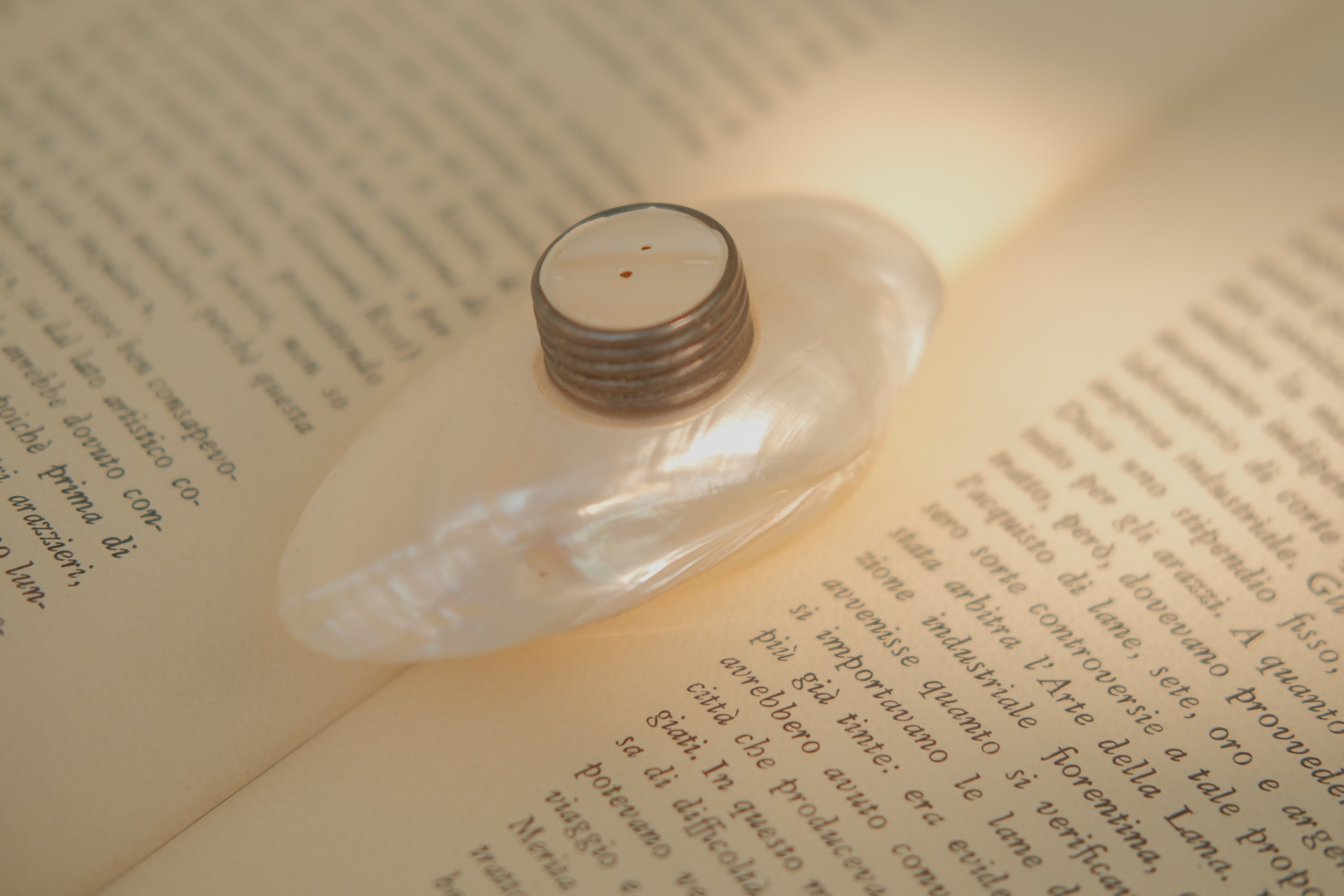 Mother of Pearl Salt & Pepper Shakers