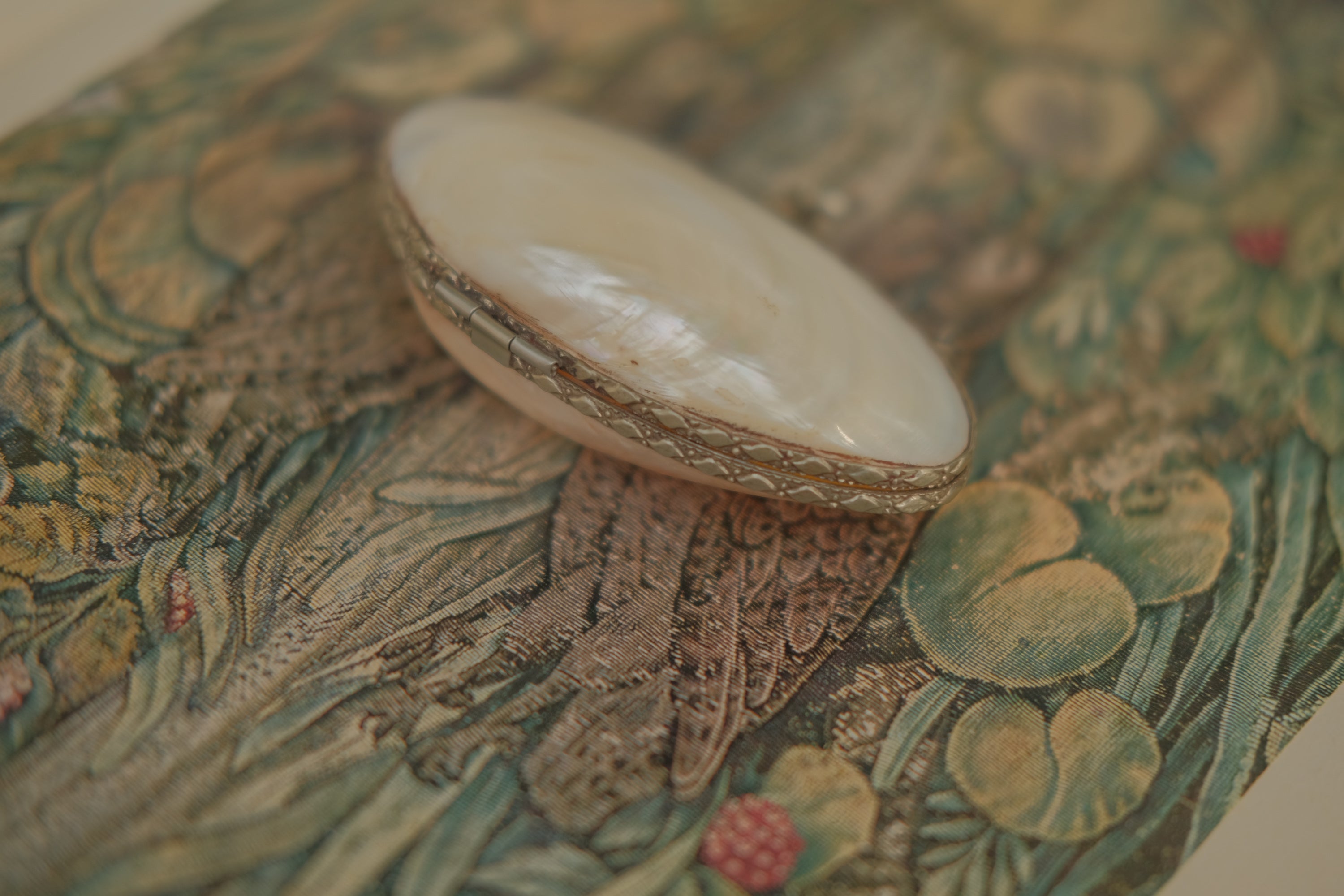 Mother of Pearl Shell Coin Purse with Chain