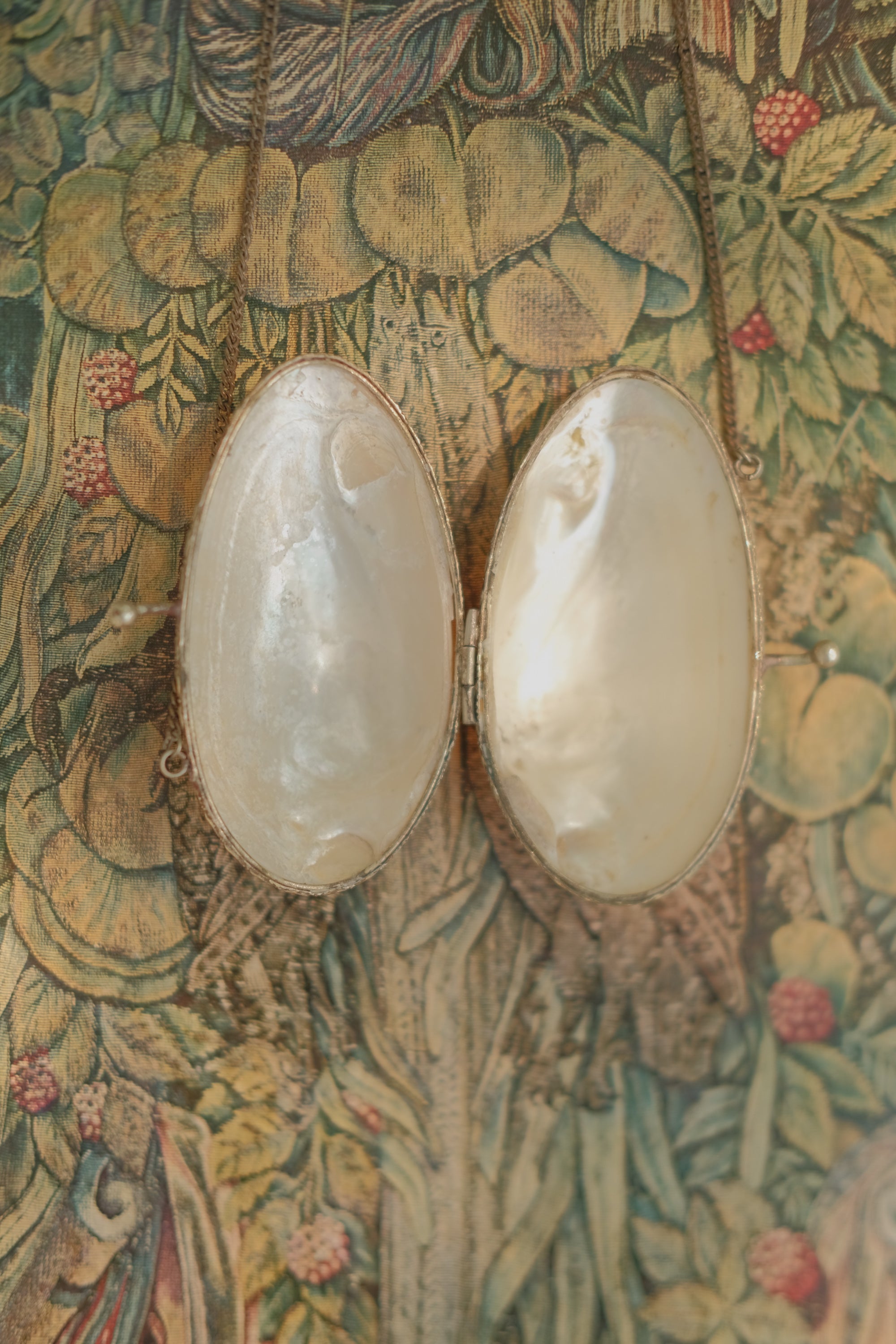 Mother of Pearl Shell Coin Purse with Chain