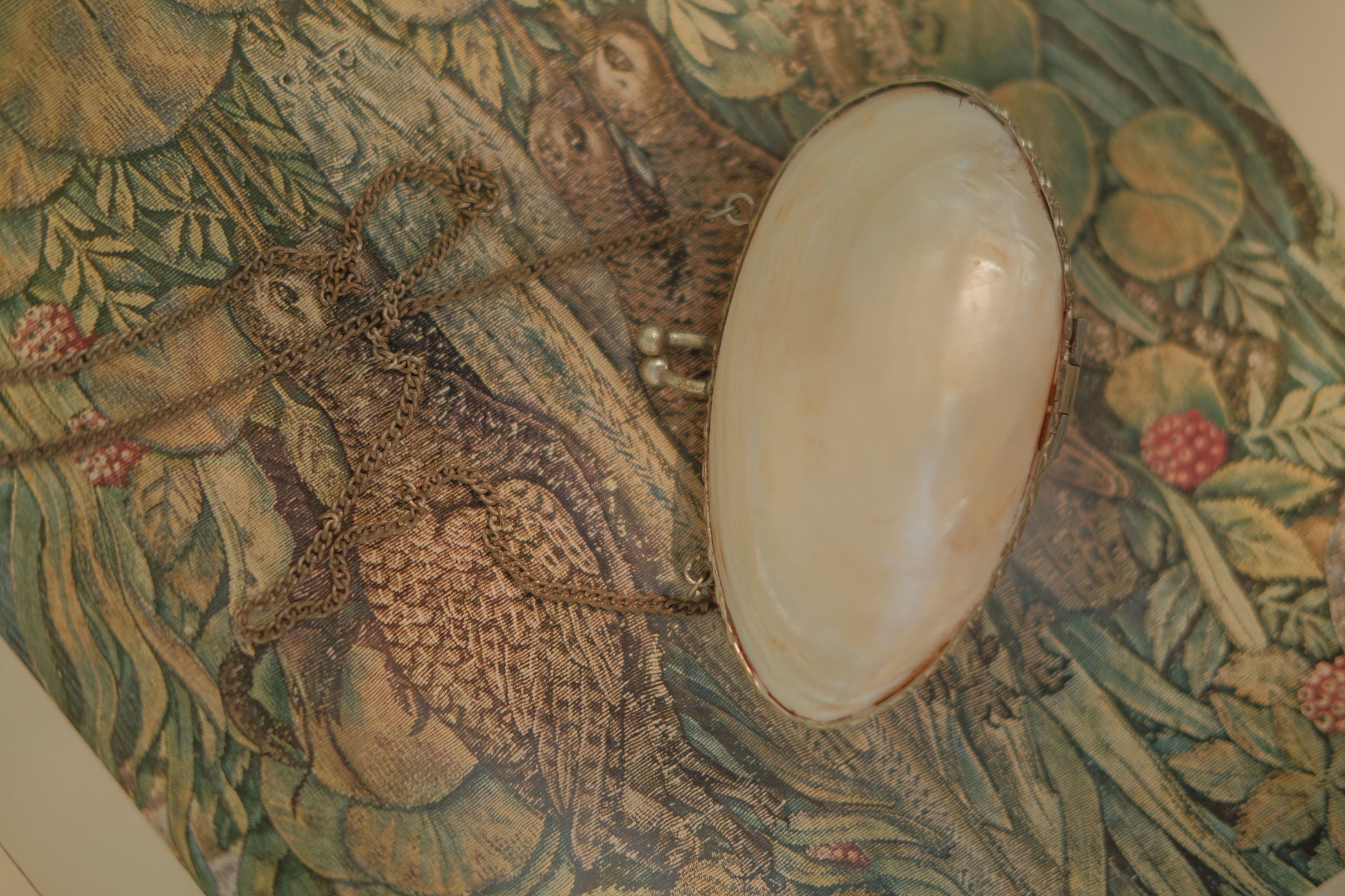 Mother of Pearl Shell Coin Purse with Chain