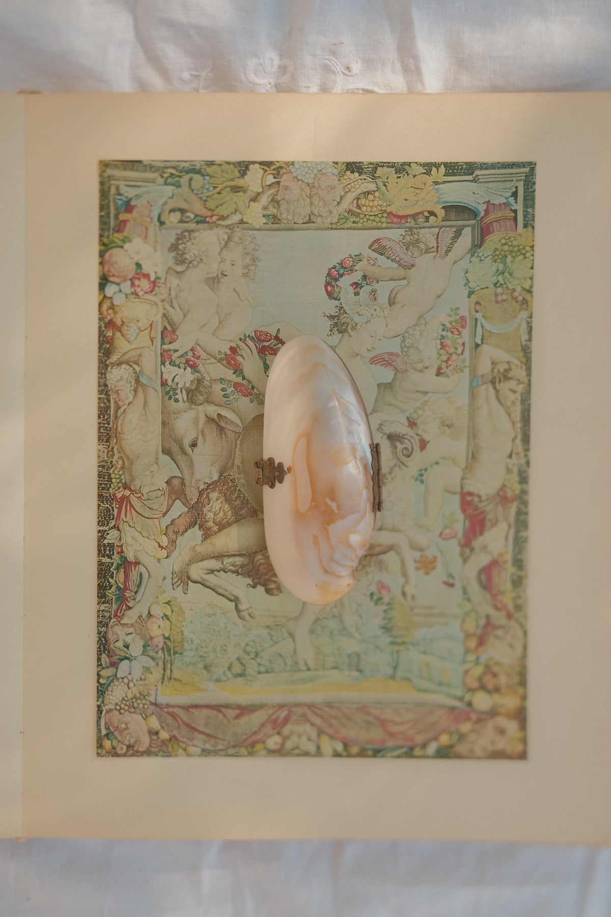 Victorian Mother of Pearl Shell Coin Purse