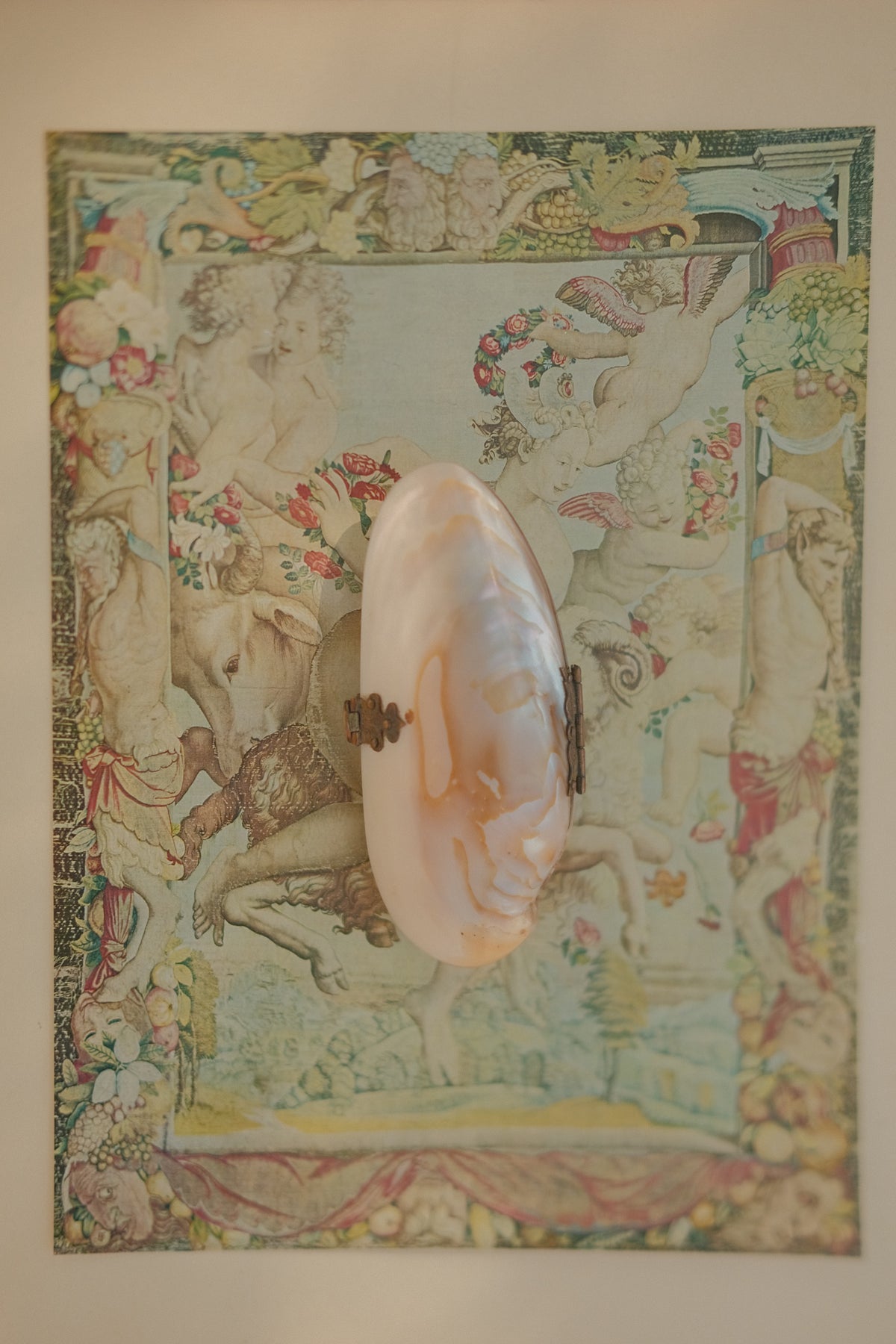 Victorian Mother of Pearl Shell Coin Purse