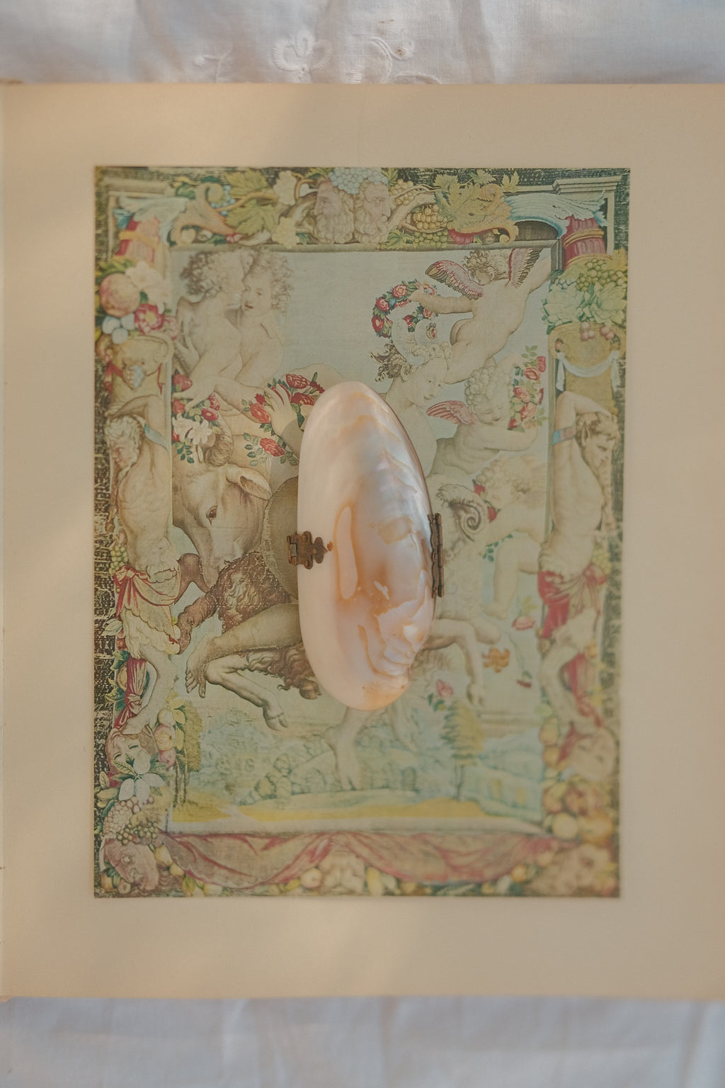 Victorian Mother of Pearl Shell Coin Purse