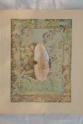 Victorian Mother of Pearl Shell Coin Purse