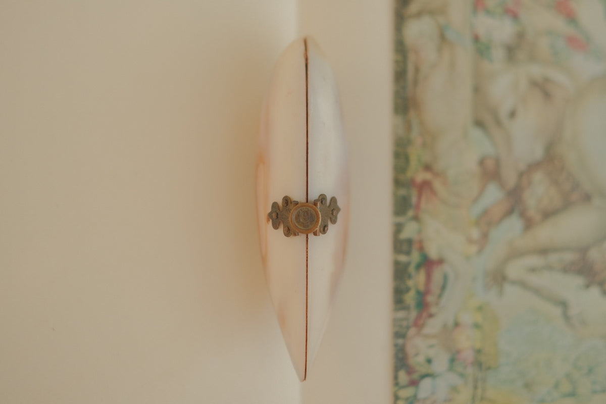 Victorian Mother of Pearl Shell Coin Purse