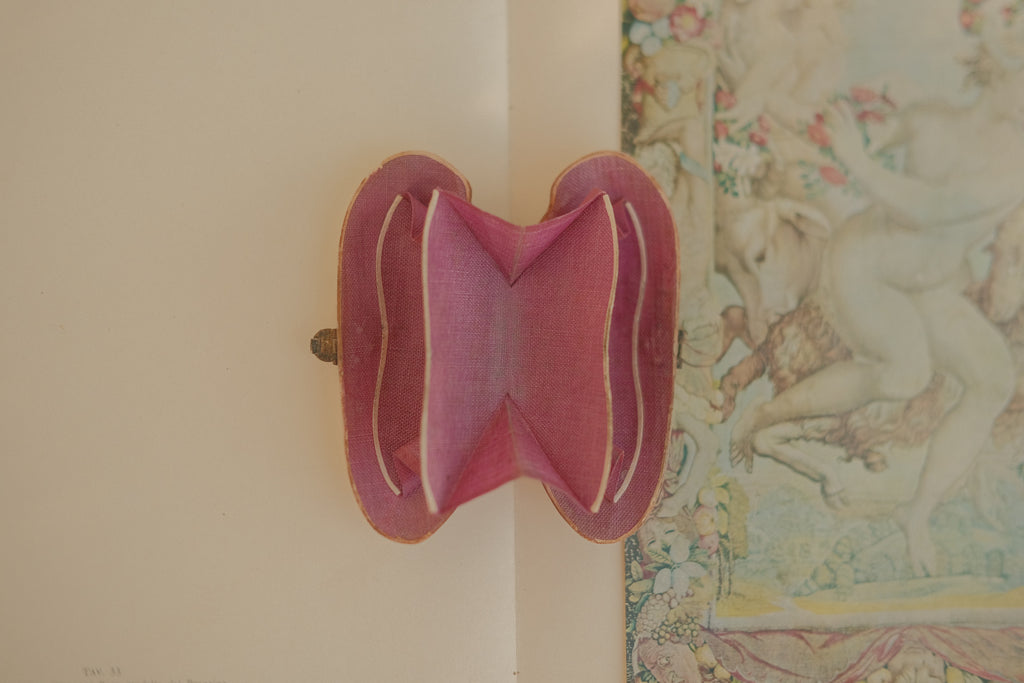 Victorian Mother of Pearl Shell Coin Purse