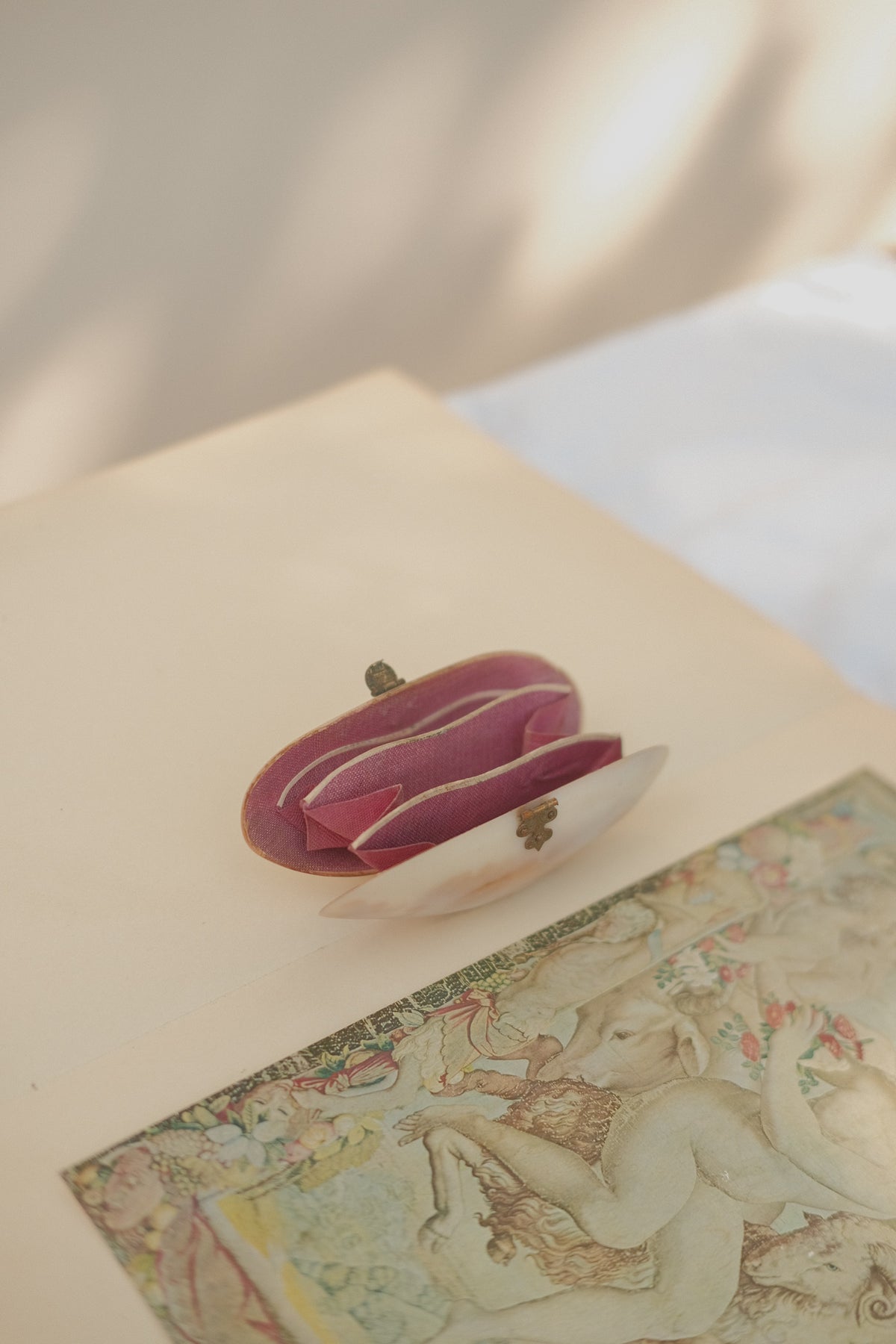 Victorian Mother of Pearl Shell Coin Purse
