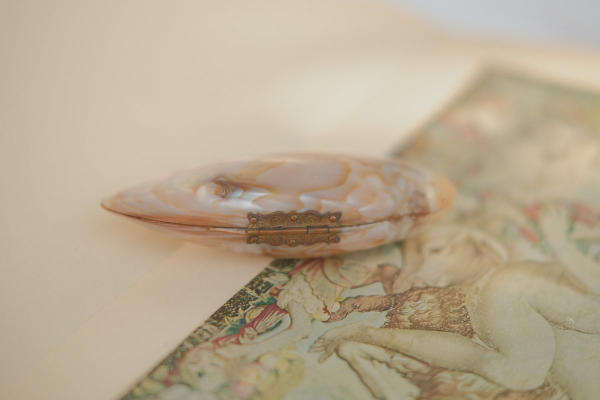 Victorian Mother of Pearl Shell Coin Purse