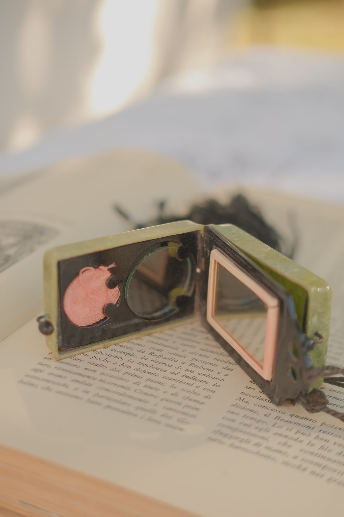 1920's Art Deco Celluloid Dance Compact