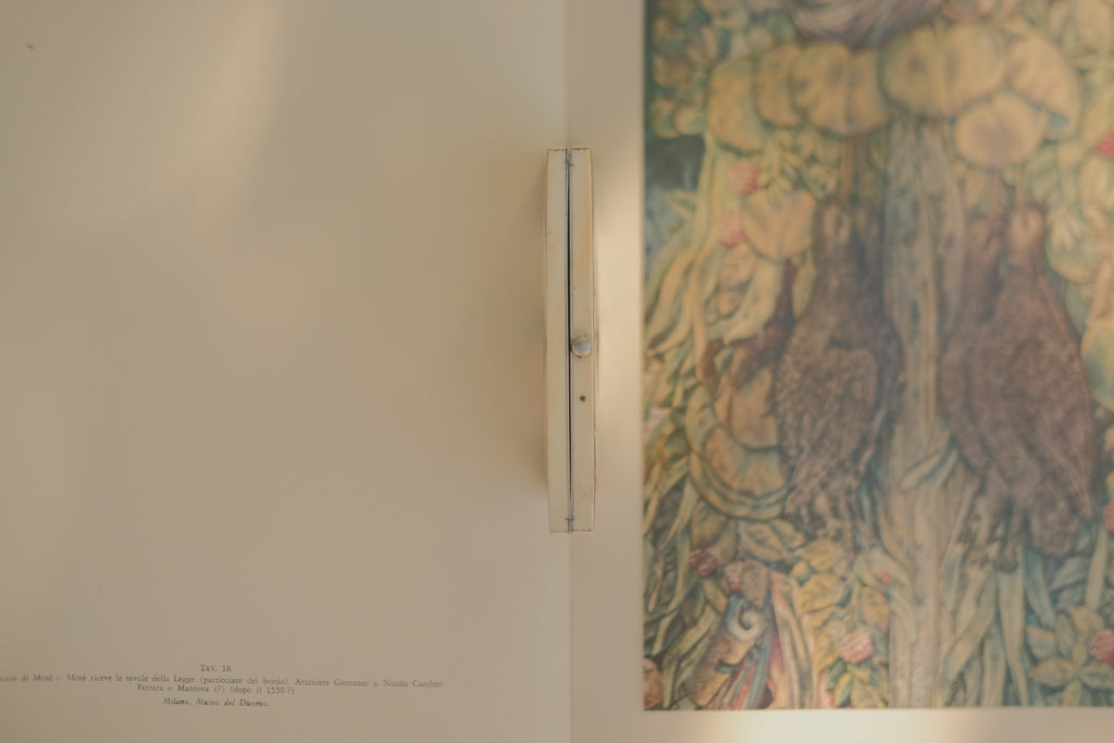 Mother of Pearl & Abalone Calling Card Case